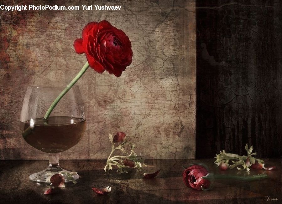 Plant, Potted Plant, Blossom, Flower, Rose, Glass, Goblet