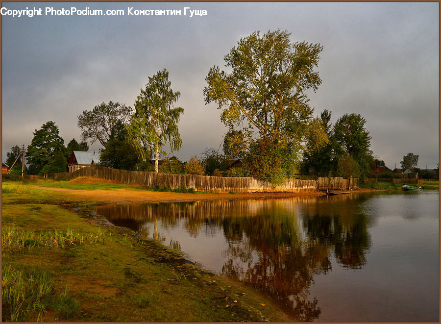 Landscape, Nature, Scenery, Outdoors, Pond, Water, Field