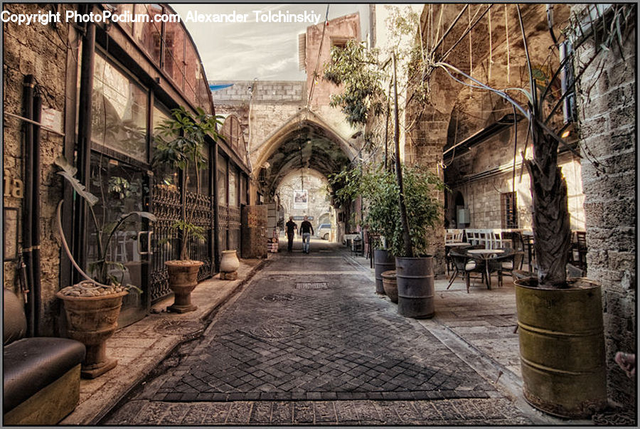 Plant, Potted Plant, Arch, Architecture, Housing, Monastery, Brick