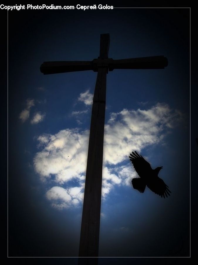Cross, Bird, Eagle, Silhouette, Kite Bird