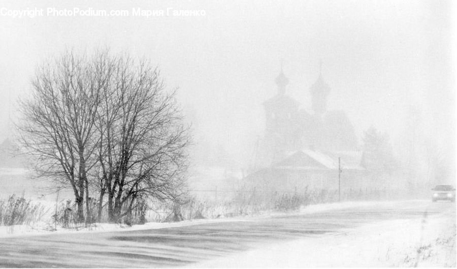 Blizzard, Outdoors, Snow, Weather, Winter