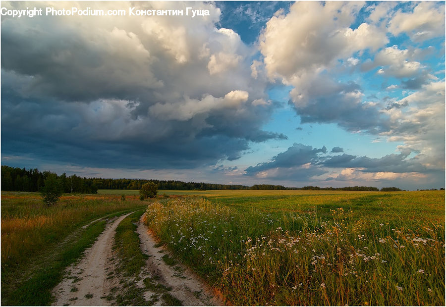 Dirt Road, Gravel, Road, Cloud, Cumulus, Sky, Field