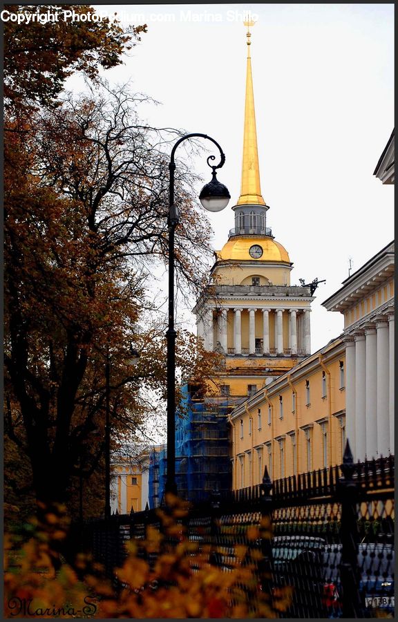 Plant, Potted Plant, Architecture, Bell Tower, Clock Tower, Tower, Column