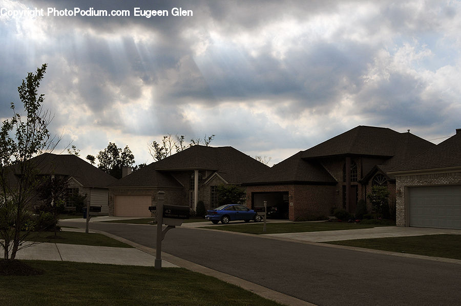 Plant, Potted Plant, Yard, Building, Cottage, Housing, Office Building