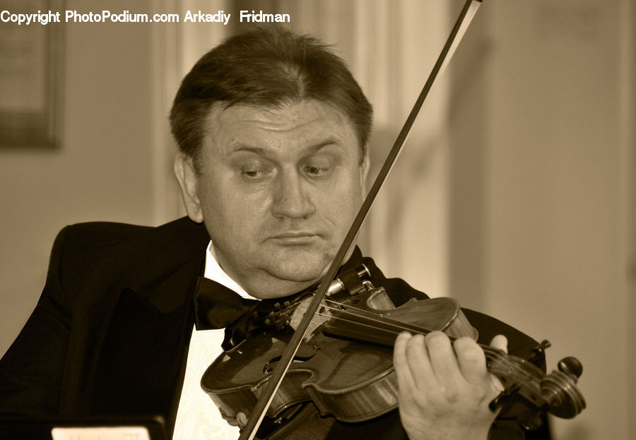 People, Person, Human, Cello, Fiddle, Musical Instrument, Violin