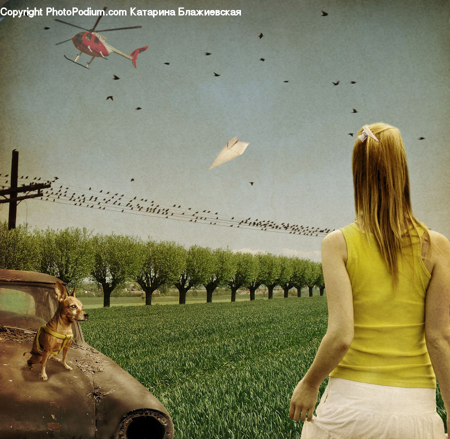 People, Person, Human, Cross, Aphid, Insect, Invertebrate