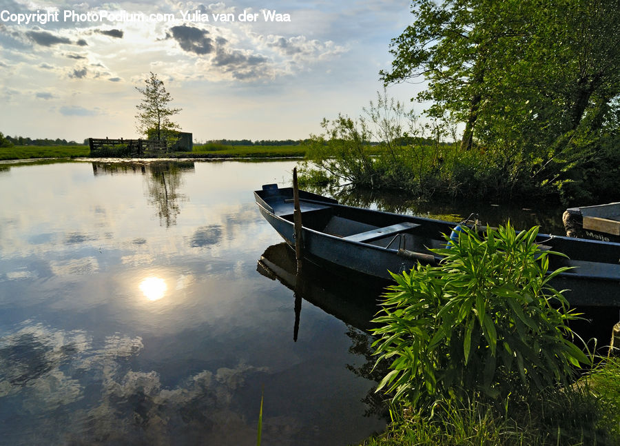 Boat, Watercraft, Canoe, Rowboat, Vessel, Dinghy, Bush