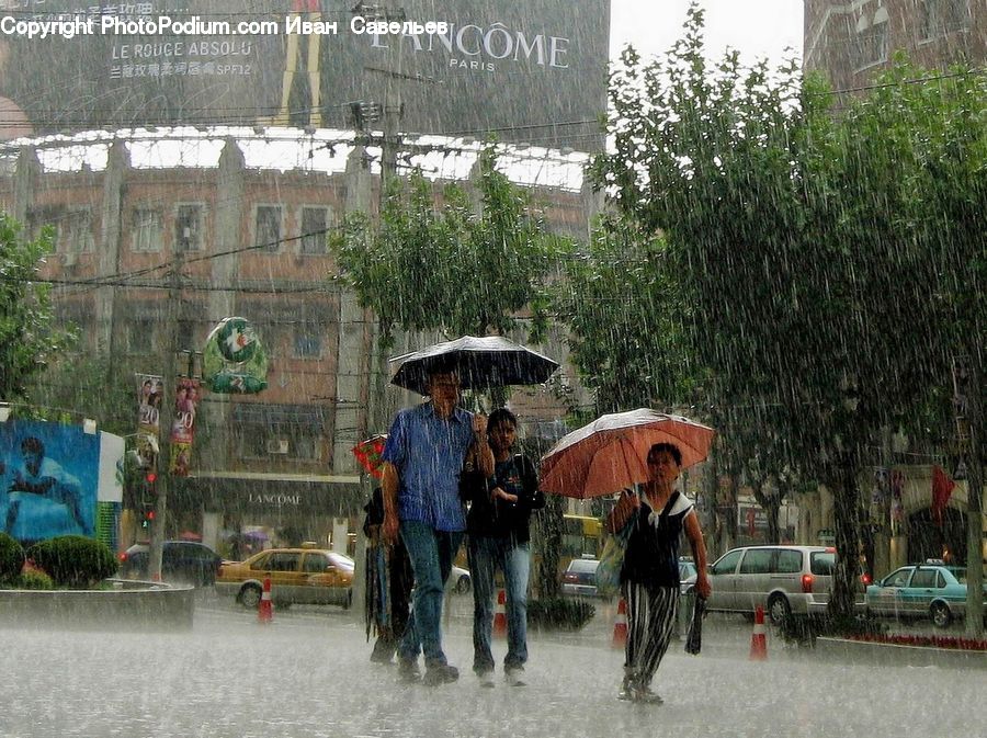 People, Person, Human, Umbrella, Automobile, Car, Vehicle