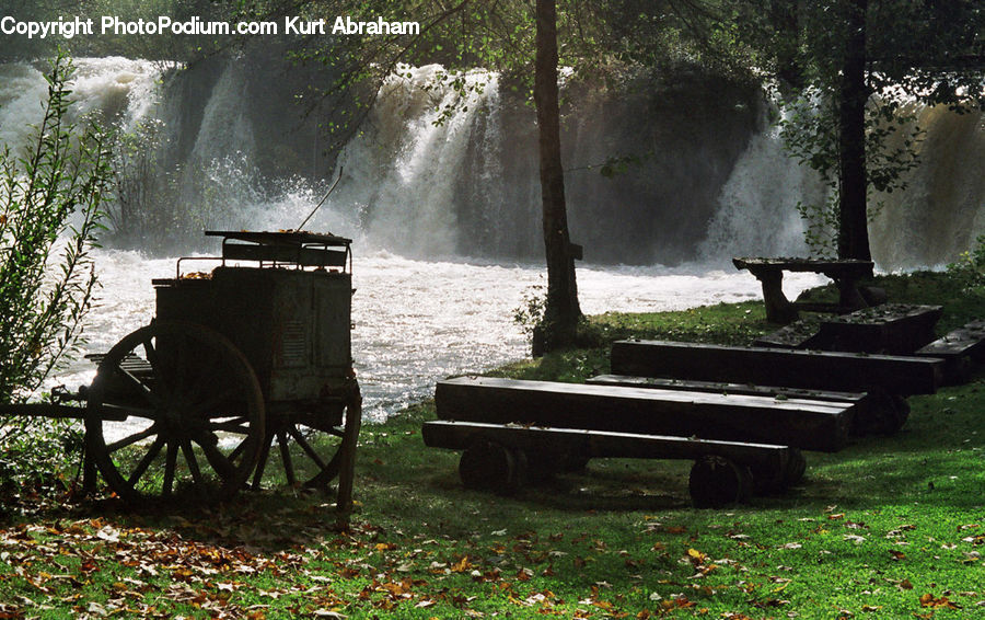Bench, Barrow, Vehicle, Wheelbarrow, Plant, Potted Plant, Carriage