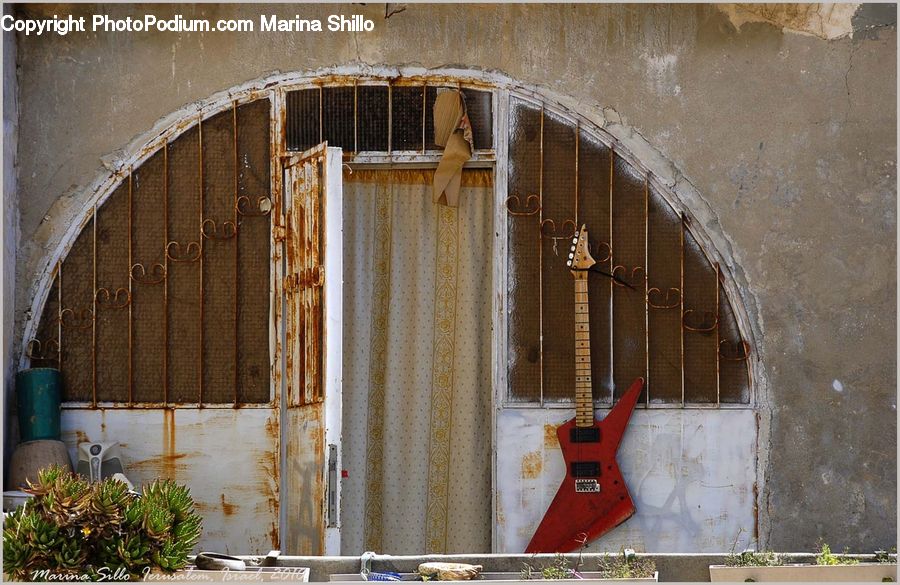 Aloe, Plant, Electric Guitar, Guitar, Musical Instrument, Moss, Fence