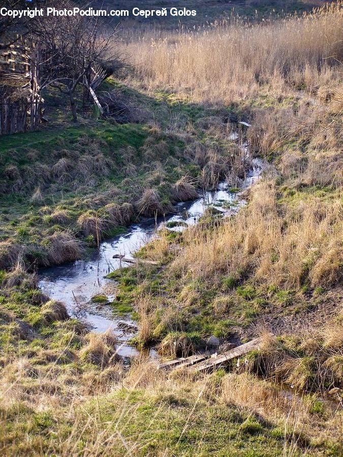 Field, Grass, Grassland, Plant, Creek, Outdoors, River