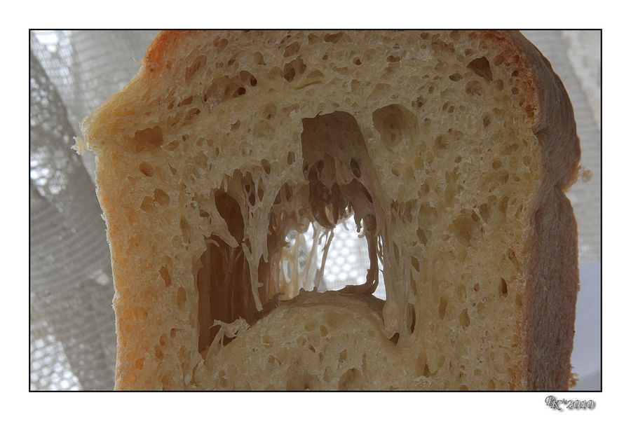 Ancient Egypt, Bread, Food
