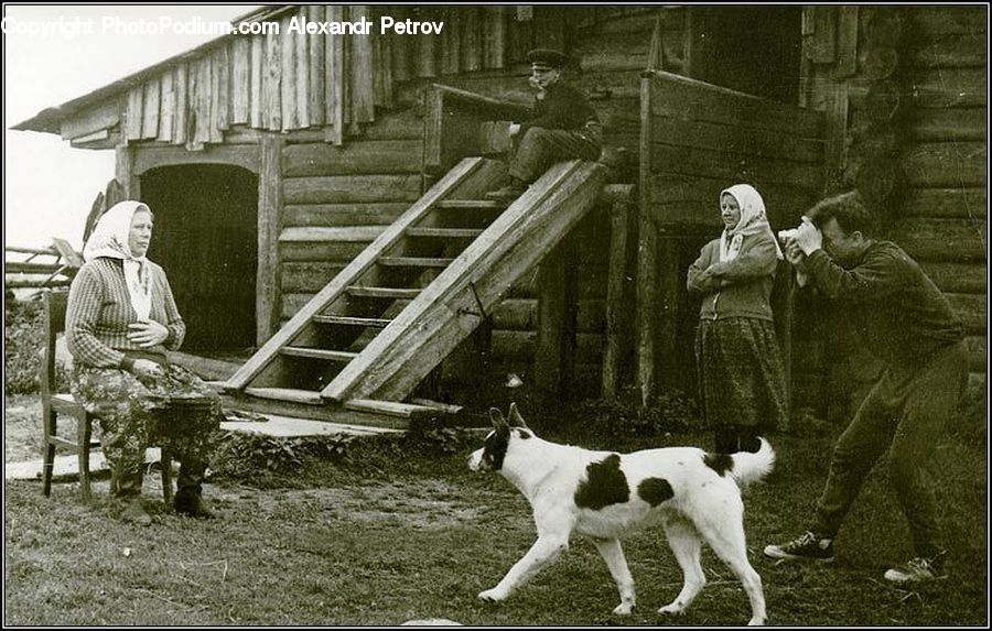 Animal, Canine, Dog, Mammal, Pet, Pointer, Art