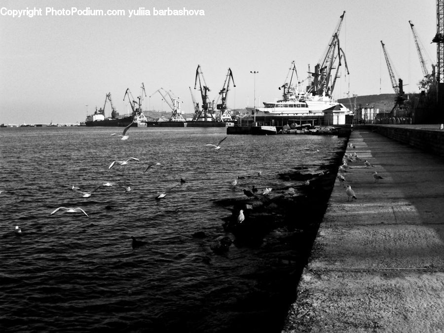 Constriction Crane, Dock, Landing, Pier, Water, Boardwalk, Deck