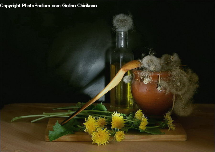 Plant, Potted Plant, Flower, Flower Arrangement, Flower Bouquet, Pot, Pottery