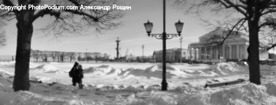 Human, People, Person, Plant, Tree, Ice, Outdoors