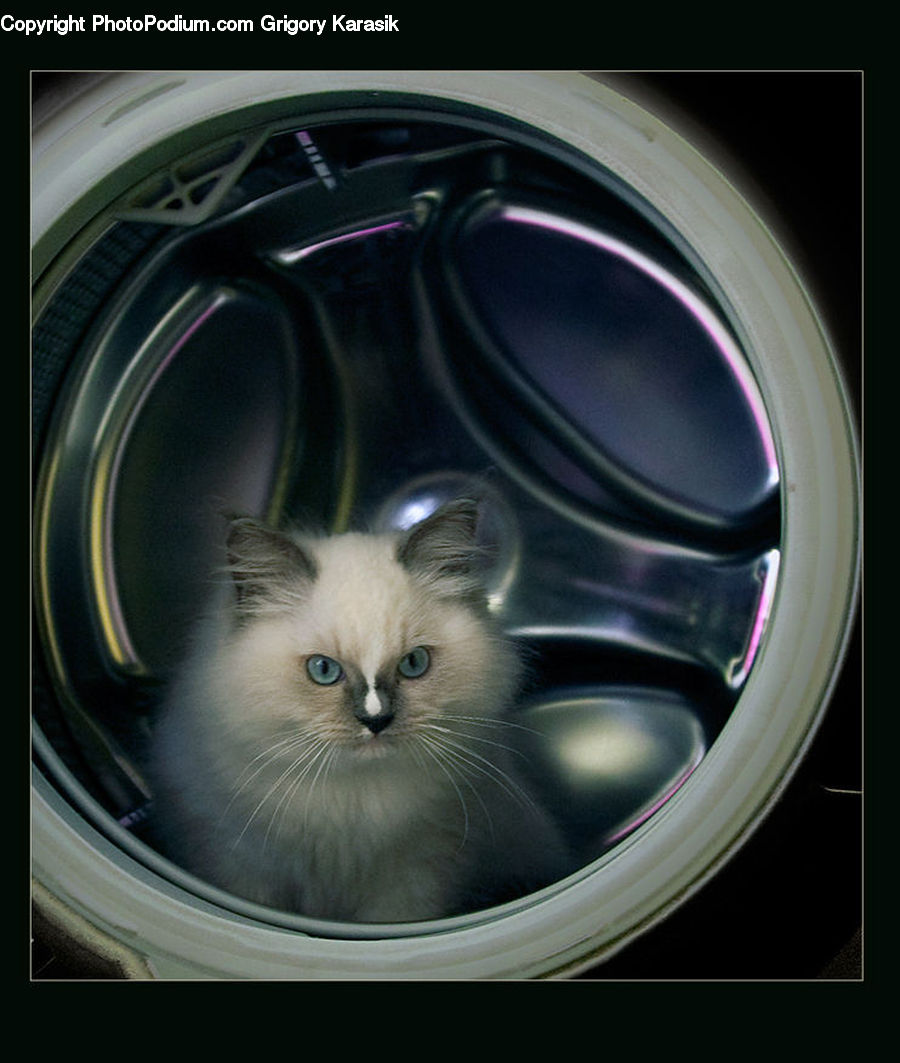 Alloy Wheel, Car Wheel, Machine, Spoke, Tire, Wheel, Fractal