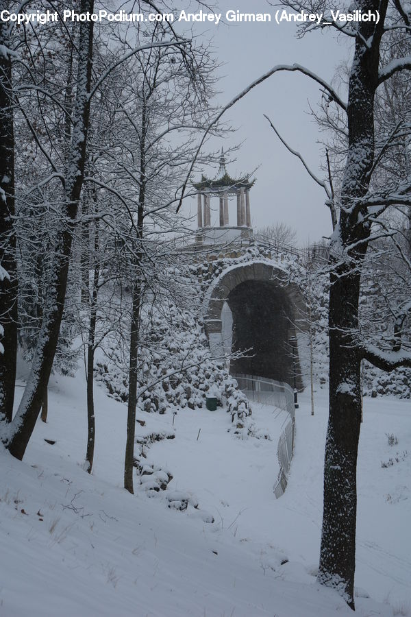 Arch, Ice, Outdoors, Snow, Plant, Tree, Birch