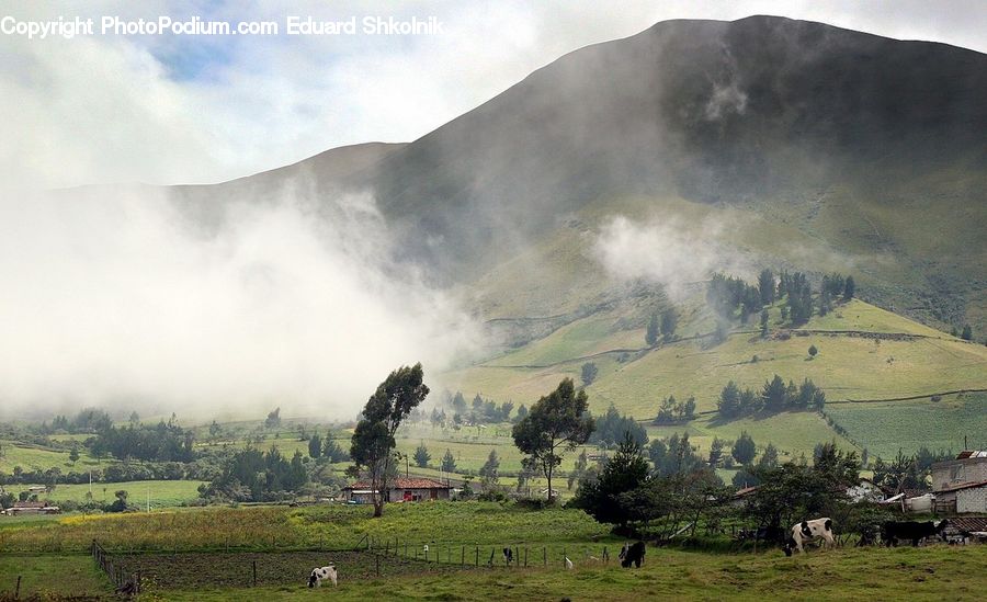 Field, Grass, Grassland, Land, Outdoors, Plateau, Mountain
