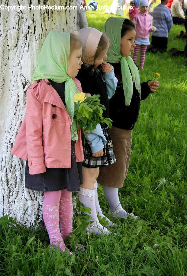 People, Person, Human, Plant, Potted Plant, Garden, Gardening