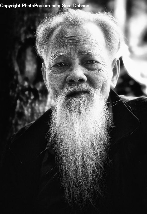 Beard, Hair, Person, Portrait, Selfie