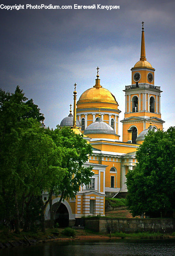 Plant, Potted Plant, Architecture, Dome, Building, Housing, Villa