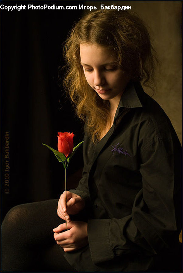 Human, People, Person, Blossom, Flower, Plant, Rose