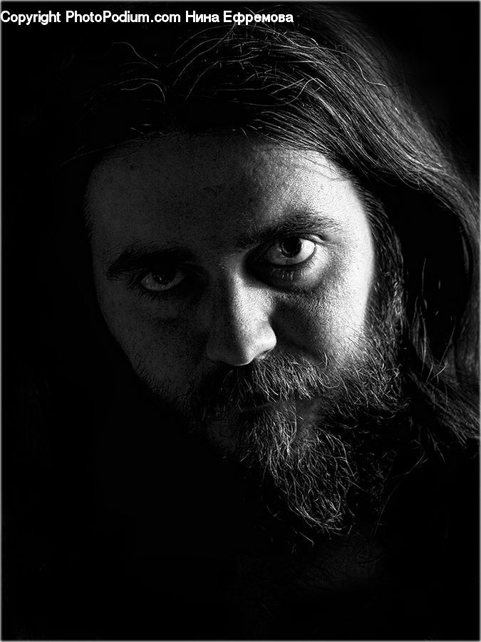 Beard, Hair, Person, Portrait