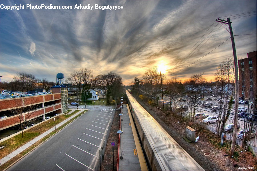 Road, Freeway, Plant, Tree, Forest, Vegetation, Downtown