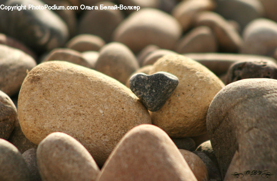 Bean, Produce, Vegetable, Pebble, Beverage, Bottle, Wine