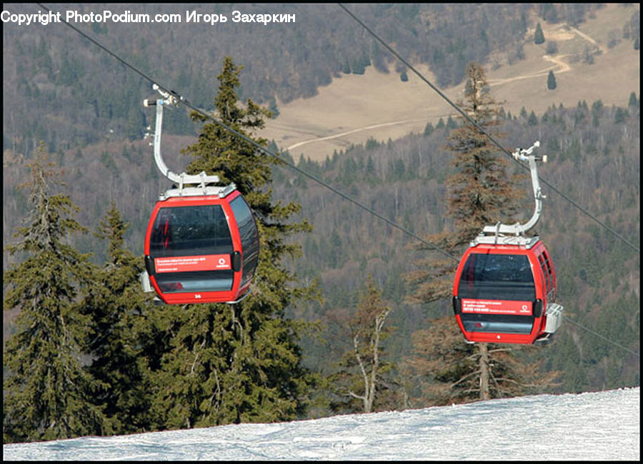 Cable Car, Trolley, Vehicle, Car, Offroad, Automobile, Asphalt