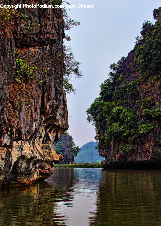 Cliff, Outdoors, Oak, Tree, Wood, Lagoon, Lake