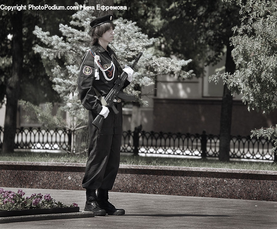 Human, People, Person, Plant, Potted Plant, Blossom, Flora