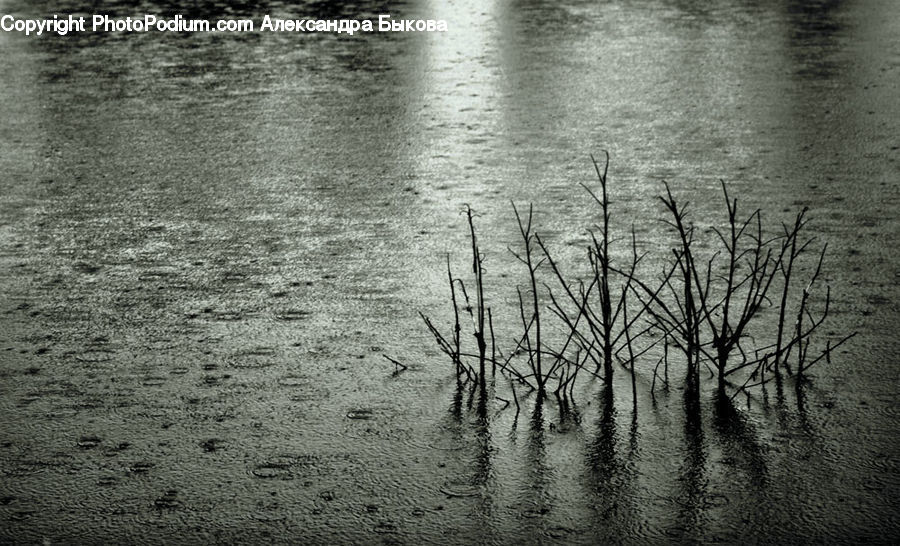 Outdoors, Ripple, Water, Land, Marsh, Swamp, River
