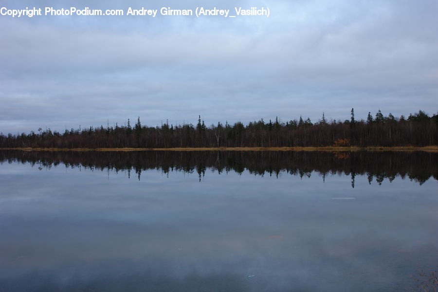 Lake, Outdoors, Water, Land, Marsh, Pond, Swamp