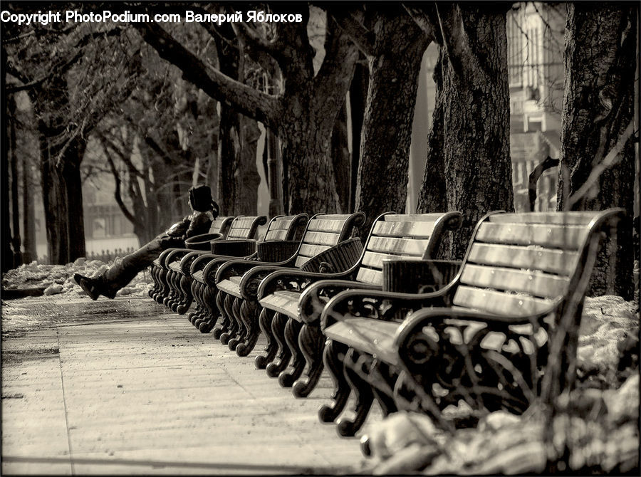 Chair, Furniture, Park Bench, Bench, Boardwalk, Deck, Path