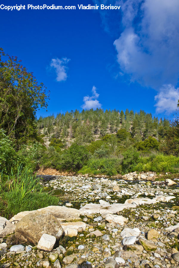 Rock, Outdoors, Wilderness, Creek, River, Water, Rubble