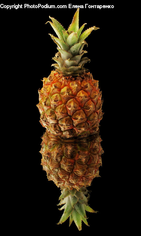 Fruit, Pineapple