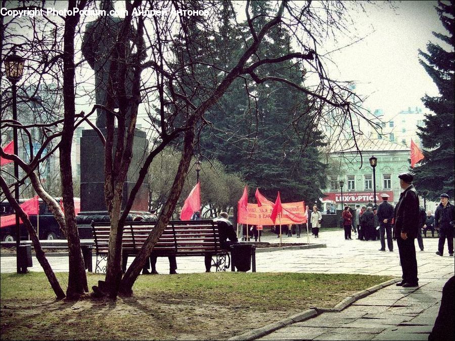 People, Person, Human, Plant, Tree, Bench, Playground