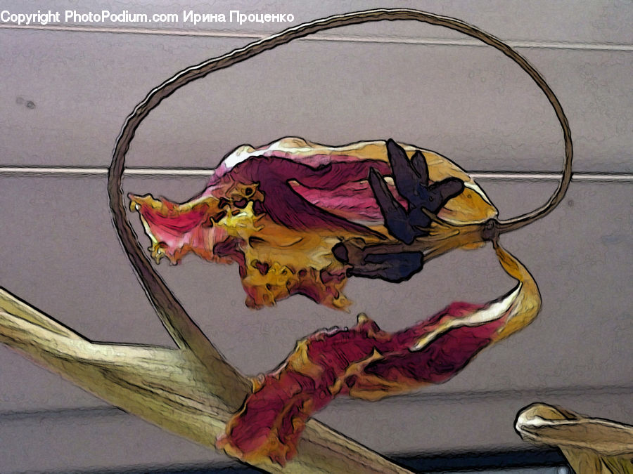 Art, Painting, Flower Arrangement, Ikebana, Plant, Potted Plant, Vase