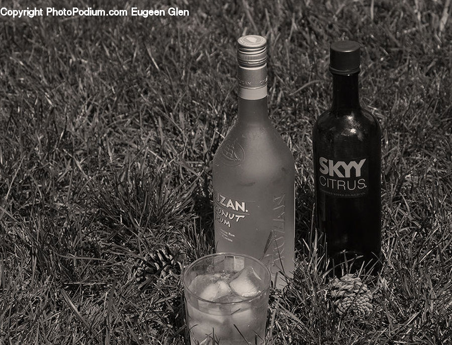 Bottle, Beverage, Drink, Alcohol, Beer, Beer Glass, Glass