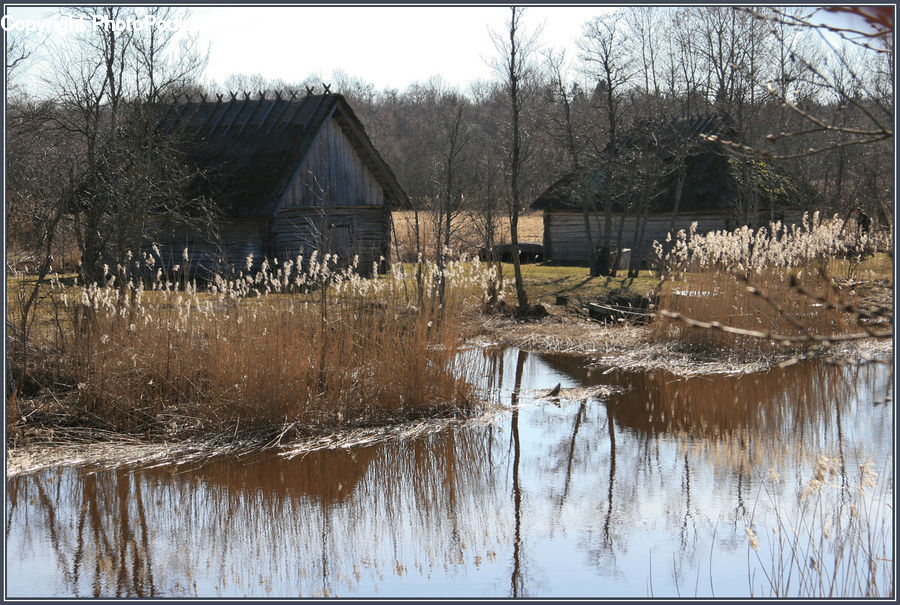 Cabin, Hut, Rural, Shack, Shelter, Blossom, Flora