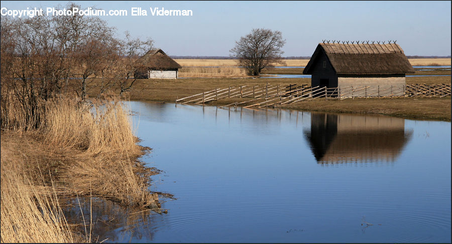 Grass, Plant, Reed, Barn, Building, Countryside, Cabin
