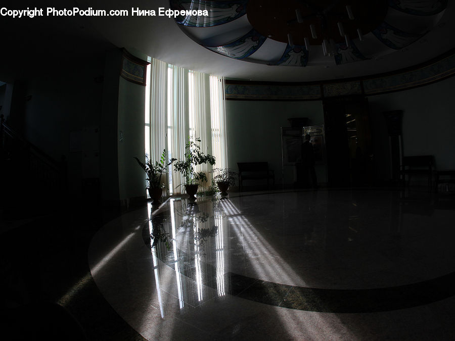 Plant, Potted Plant, Corridor, Machine, Ramp, Lighting, Indoors