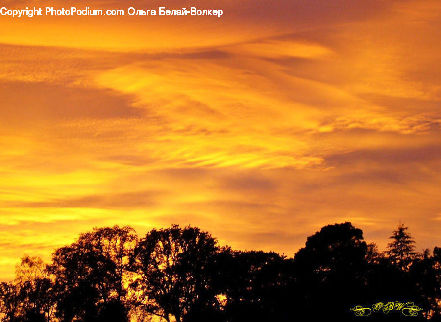 Dawn, Dusk, Red Sky, Sky, Sunrise, Sunset, Outdoors