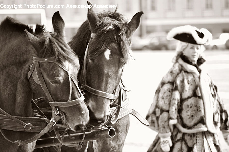 People, Person, Human, Animal, Horse, Mammal, Hat