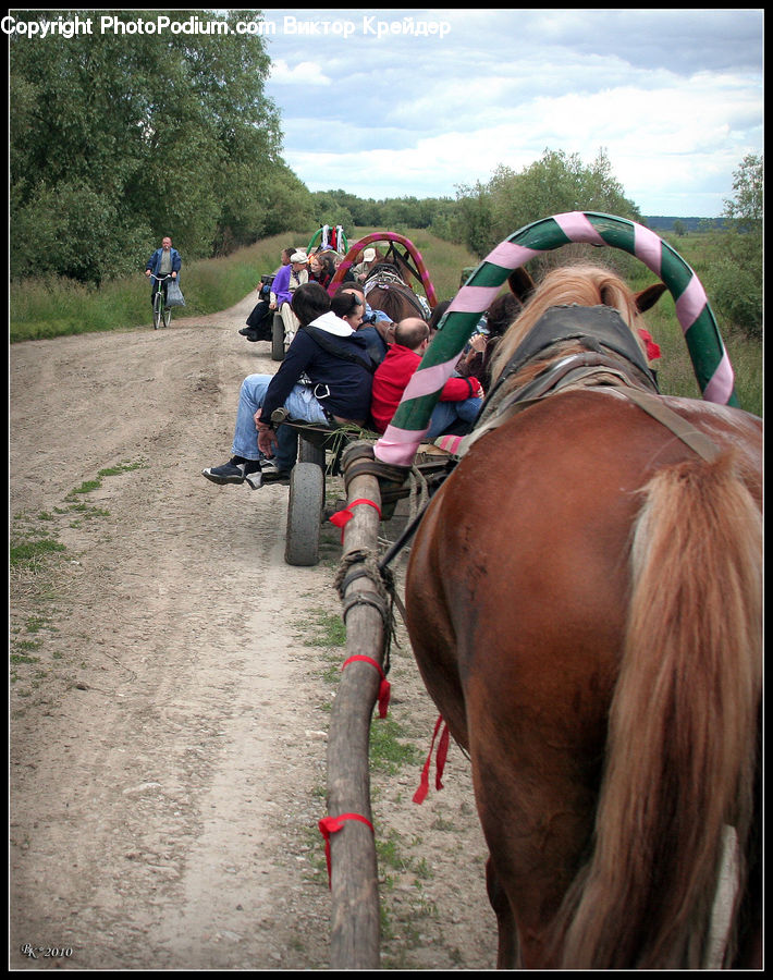 People, Person, Human, Animal, Equestrian, Horse, Park