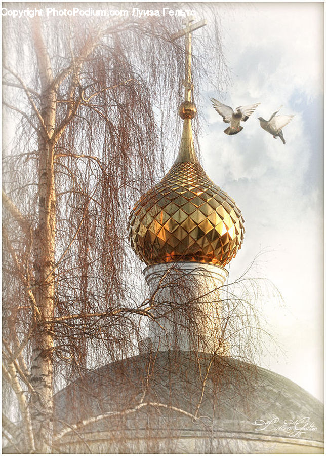 Bird, Architecture, Dome, Kite Bird, Dove, Pigeon, Bird Nest