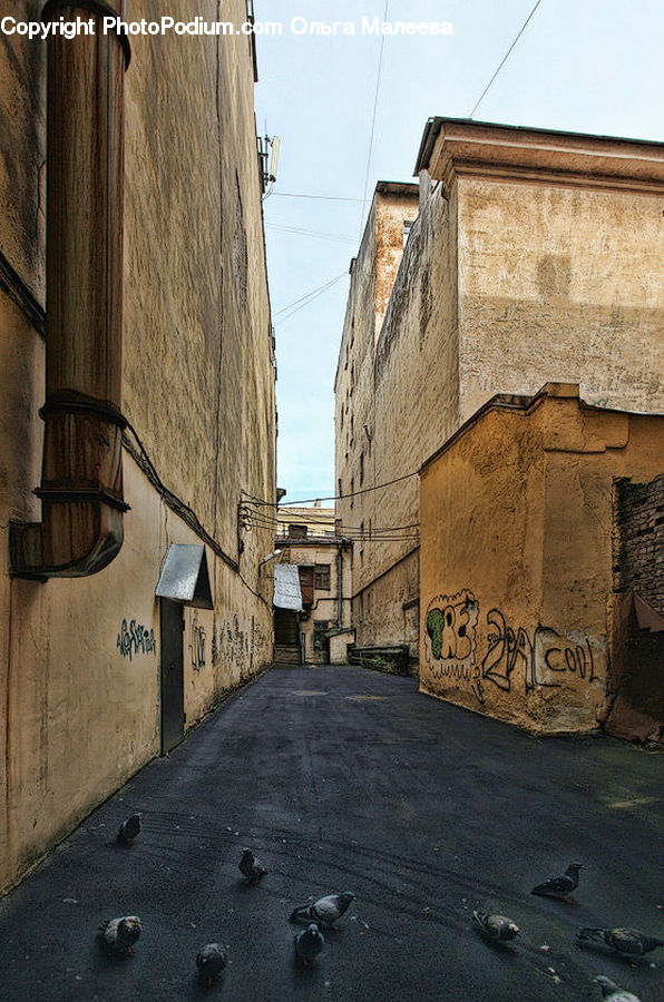 Alley, Alleyway, Road, Street, Town, Building, Downtown