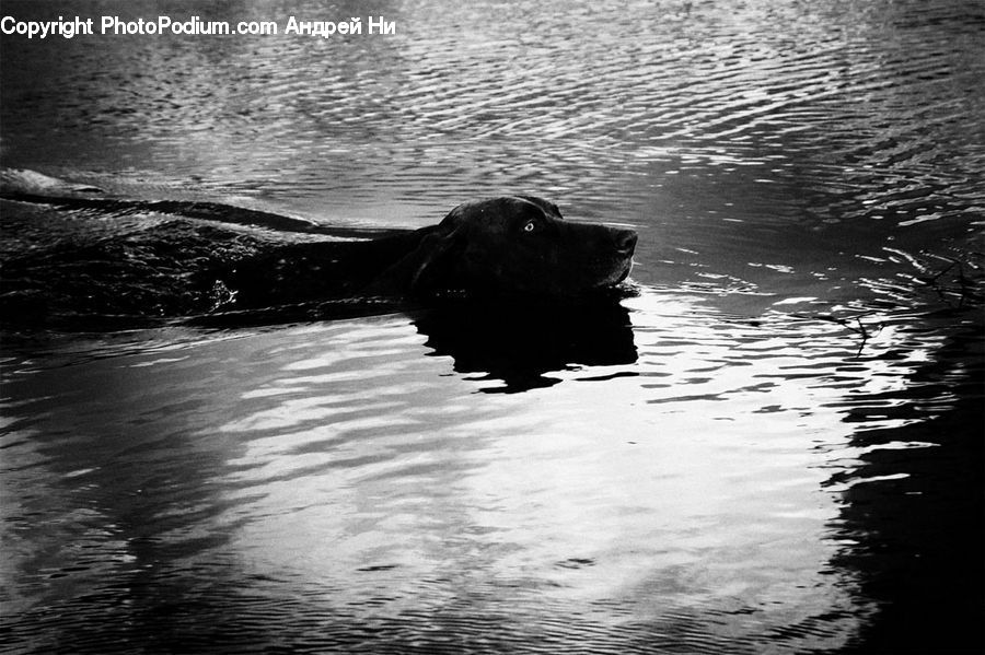 Outdoors, Ripple, Water, Silhouette